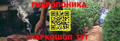 apvp Шелехов